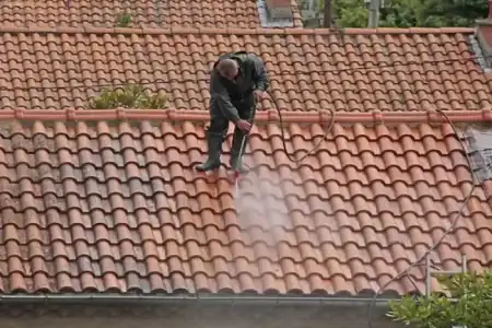 Nettoyage et démoussage de toiture à Vérac à Vérac